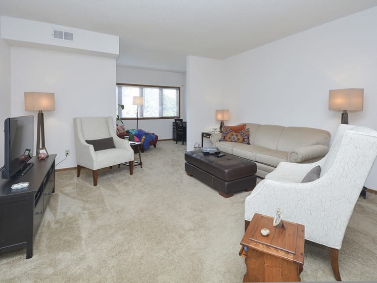 Lounging and Living Room